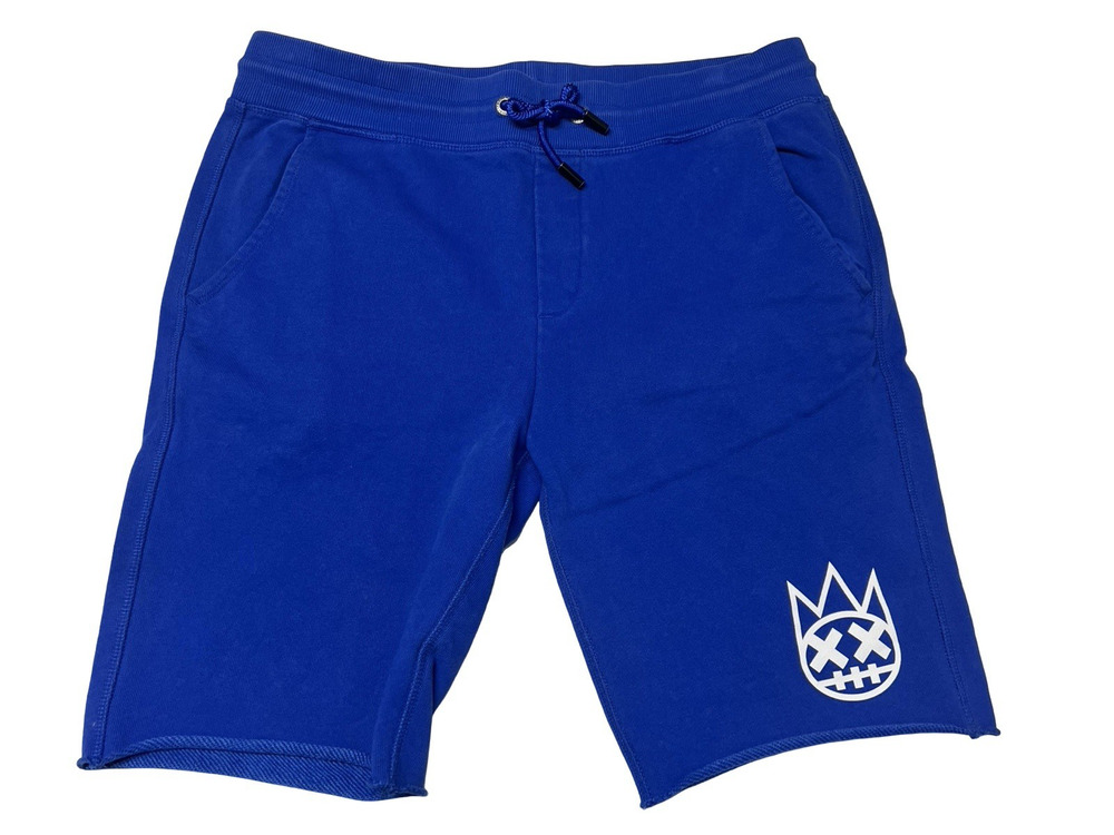 Cult Of Individuality Surf Blue Casual Sweatshorts ~ Men's Large